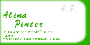 alina pinter business card